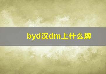 byd汉dm上什么牌