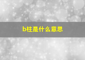 b柱是什么意思