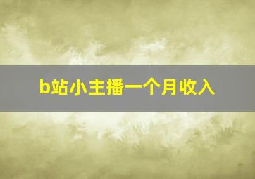 b站小主播一个月收入