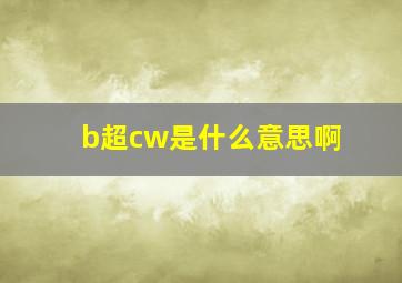 b超cw是什么意思啊