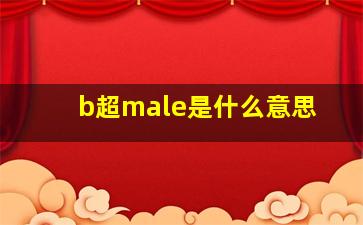 b超male是什么意思