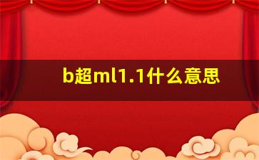 b超ml1.1什么意思