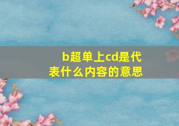 b超单上cd是代表什么内容的意思