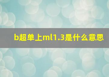 b超单上ml1.3是什么意思