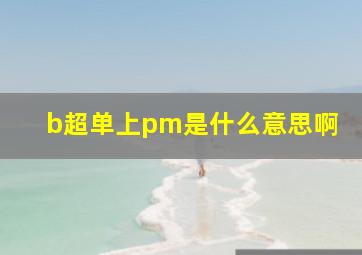 b超单上pm是什么意思啊