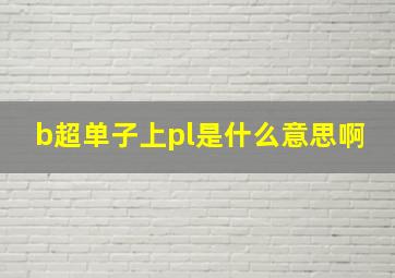 b超单子上pl是什么意思啊