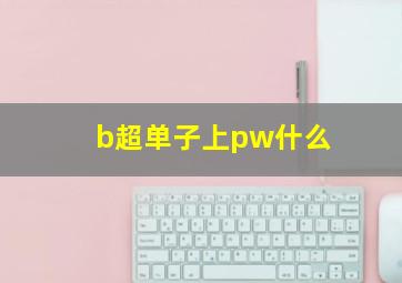 b超单子上pw什么