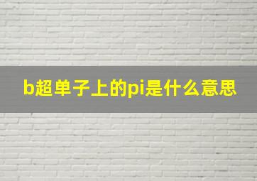 b超单子上的pi是什么意思