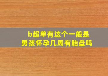 b超单有这个一般是男孩怀孕几周有胎盘吗