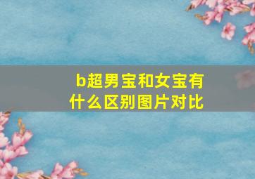 b超男宝和女宝有什么区别图片对比