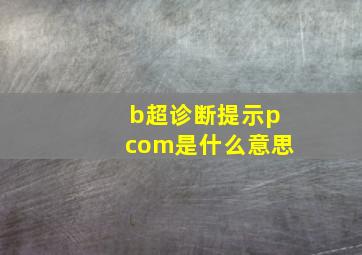 b超诊断提示pcom是什么意思