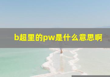 b超里的pw是什么意思啊