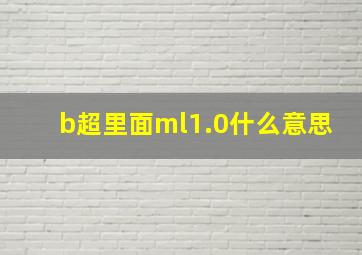 b超里面ml1.0什么意思