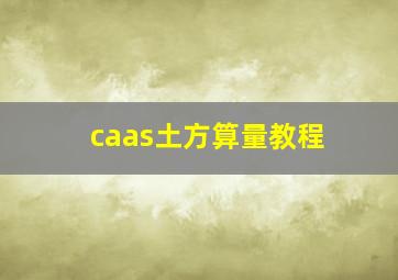 caas土方算量教程