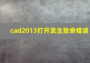 cad2013打开发生致命错误