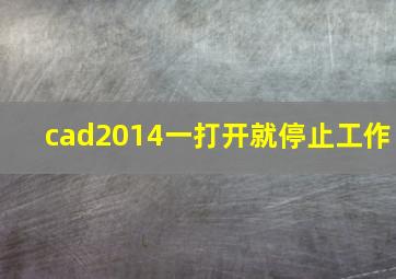 cad2014一打开就停止工作