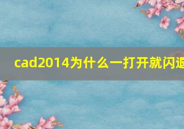 cad2014为什么一打开就闪退