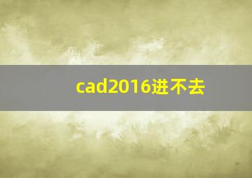 cad2016进不去