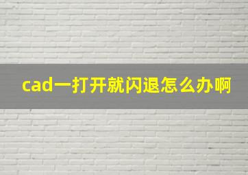 cad一打开就闪退怎么办啊