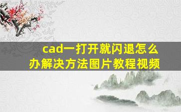 cad一打开就闪退怎么办解决方法图片教程视频