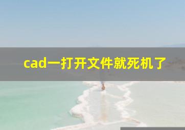 cad一打开文件就死机了