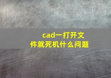 cad一打开文件就死机什么问题