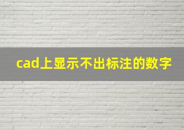 cad上显示不出标注的数字