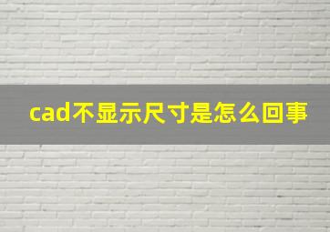 cad不显示尺寸是怎么回事