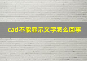 cad不能显示文字怎么回事