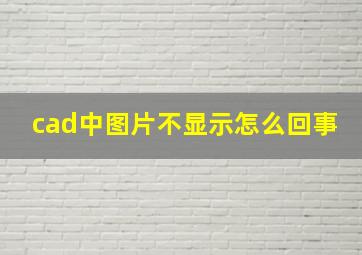 cad中图片不显示怎么回事