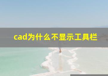 cad为什么不显示工具栏