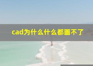 cad为什么什么都画不了