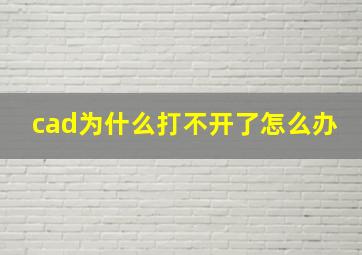 cad为什么打不开了怎么办