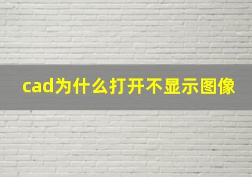 cad为什么打开不显示图像