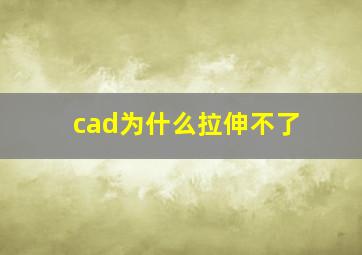 cad为什么拉伸不了