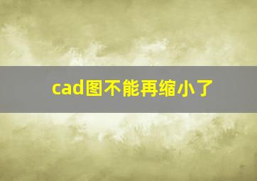 cad图不能再缩小了