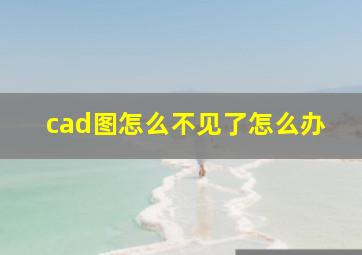 cad图怎么不见了怎么办