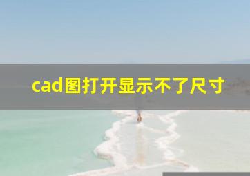 cad图打开显示不了尺寸