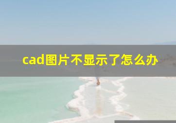 cad图片不显示了怎么办