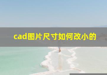 cad图片尺寸如何改小的