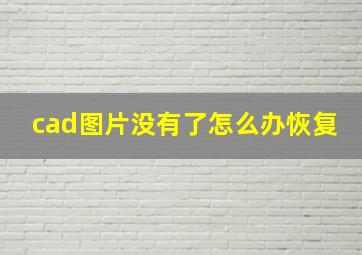 cad图片没有了怎么办恢复