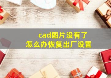 cad图片没有了怎么办恢复出厂设置