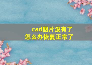 cad图片没有了怎么办恢复正常了