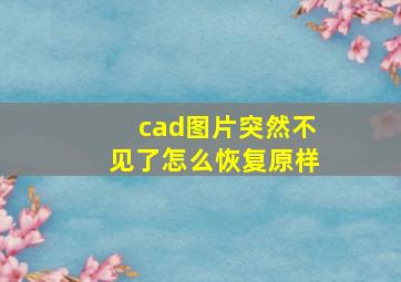 cad图片突然不见了怎么恢复原样