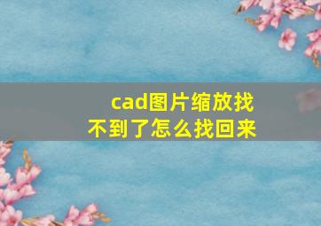 cad图片缩放找不到了怎么找回来