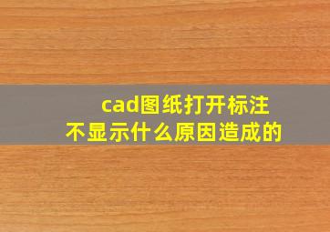 cad图纸打开标注不显示什么原因造成的