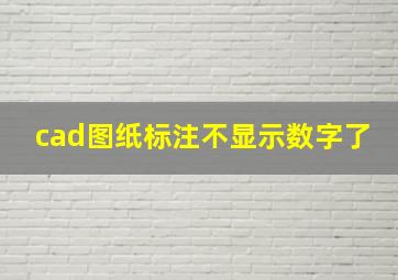 cad图纸标注不显示数字了