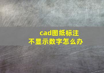 cad图纸标注不显示数字怎么办