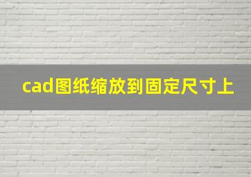 cad图纸缩放到固定尺寸上