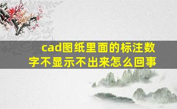 cad图纸里面的标注数字不显示不出来怎么回事